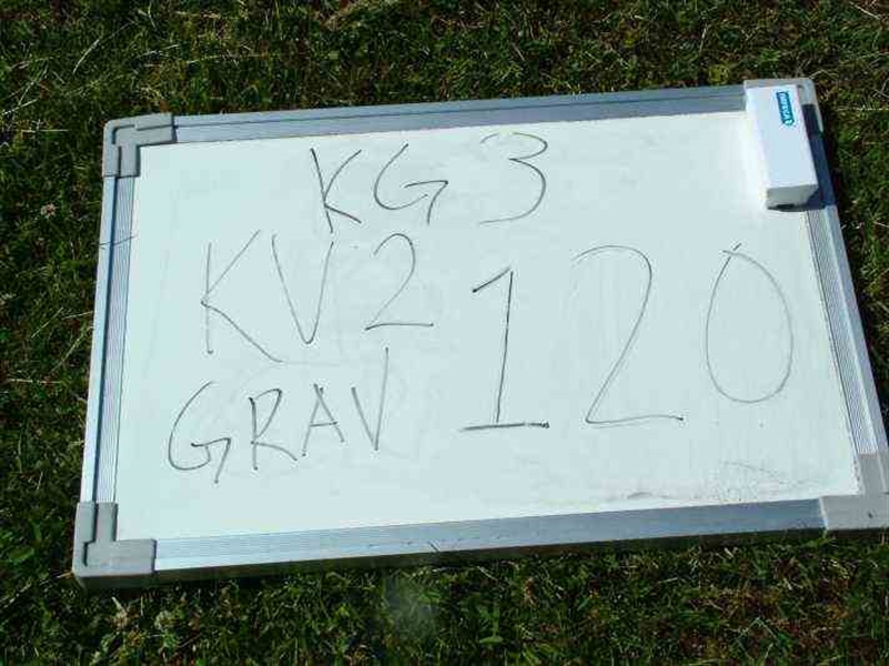 Gravnummer: 3 02   120