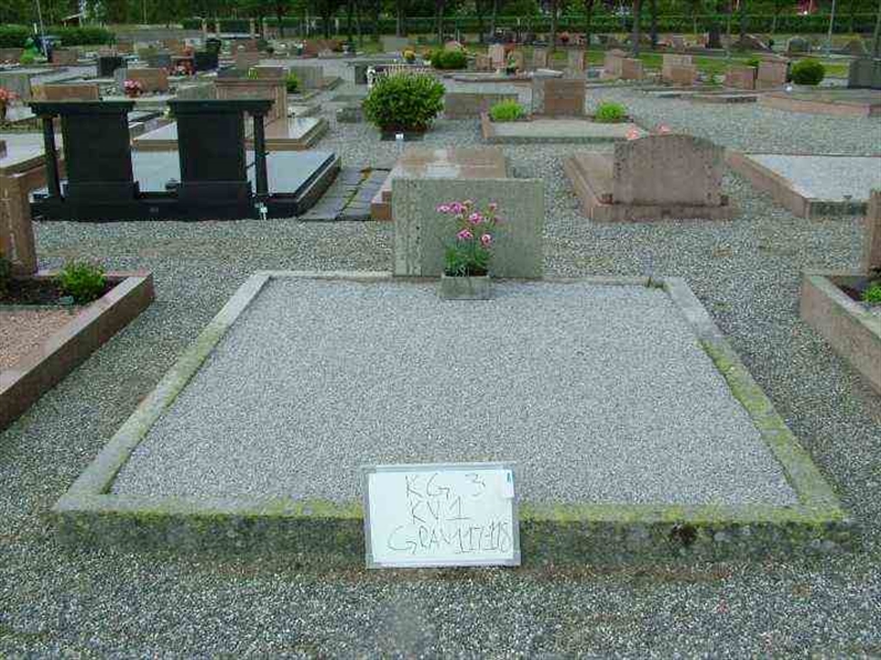 Hautatunnus: 3 01   117-118