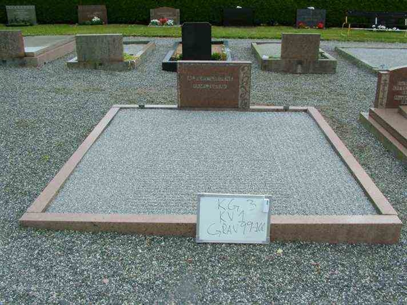 Hautatunnus: 3 01    99-100