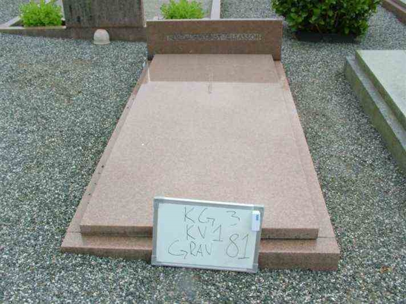 Gravnummer: 3 01    81