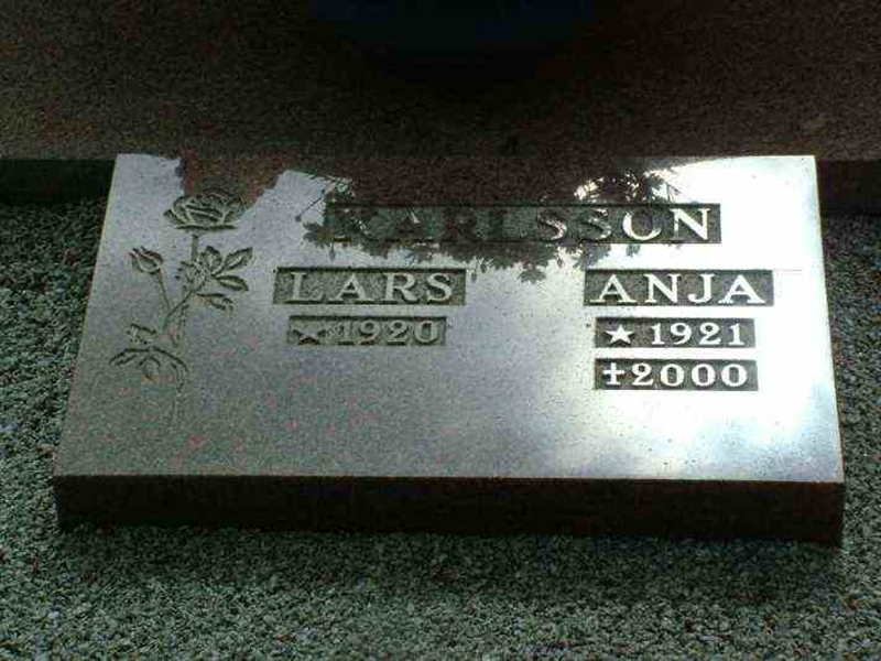 Gravnummer: 3 01   144-145