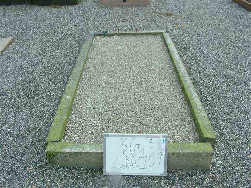 Gravnummer: 3 01   109