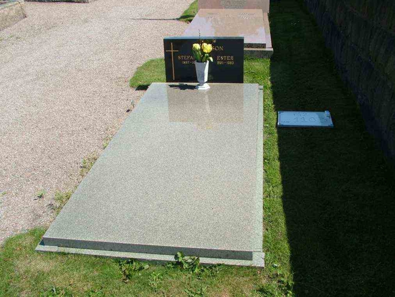 Hautatunnus: 2  1103