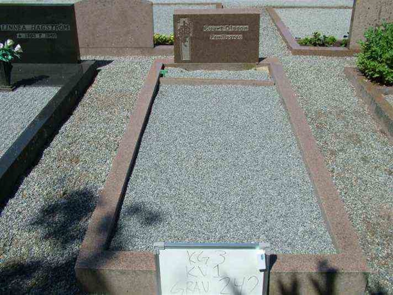 Gravnummer: 3 01   242