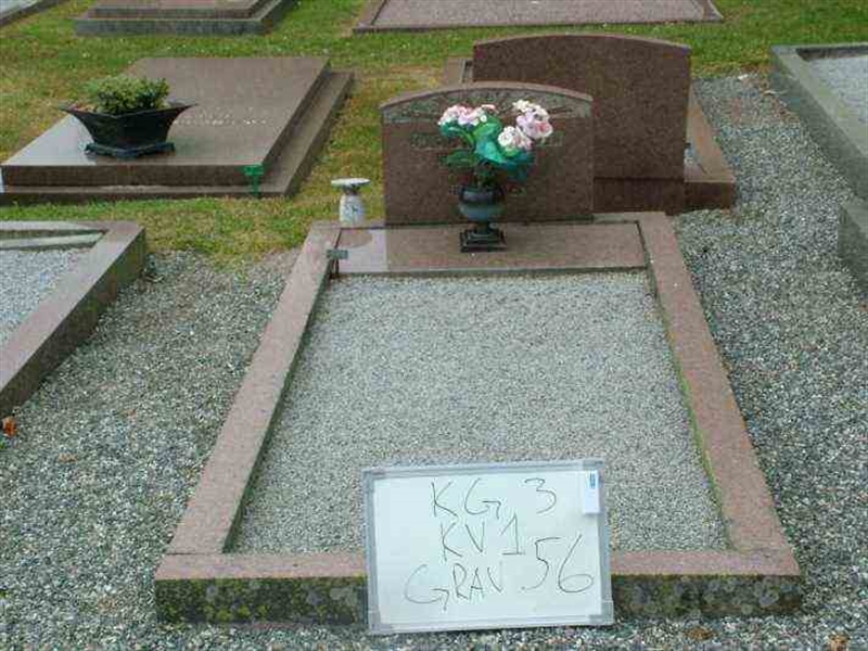 Gravnummer: 3 01    56