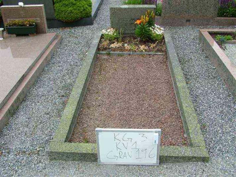 Grave number: 3 01   196