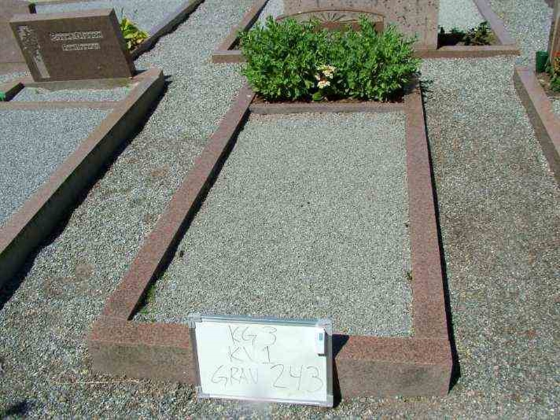 Gravnummer: 3 01   243