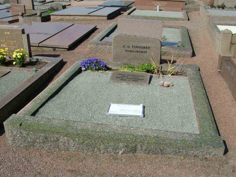 Hautatunnus: 2   955-956