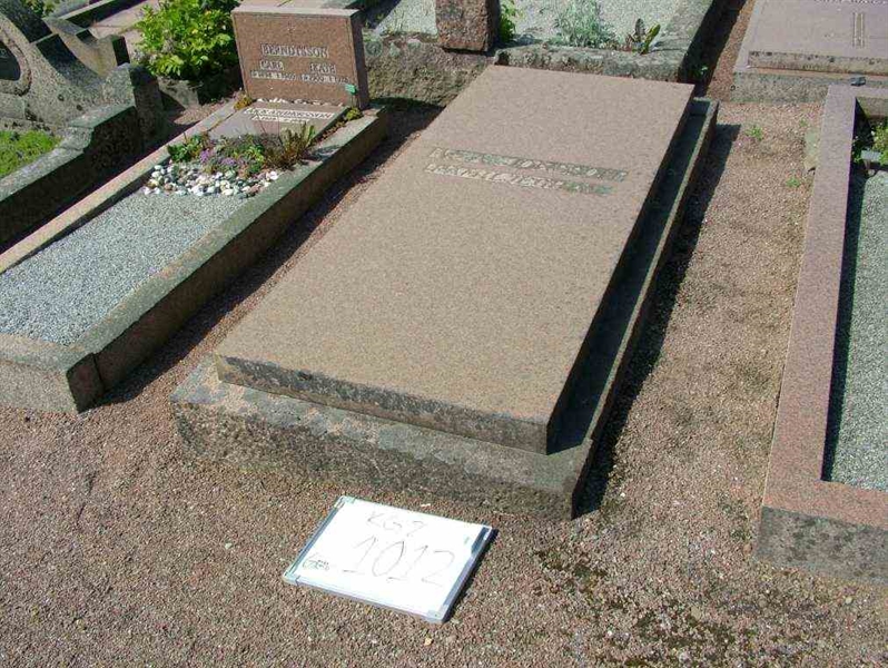 Hautatunnus: 2   101