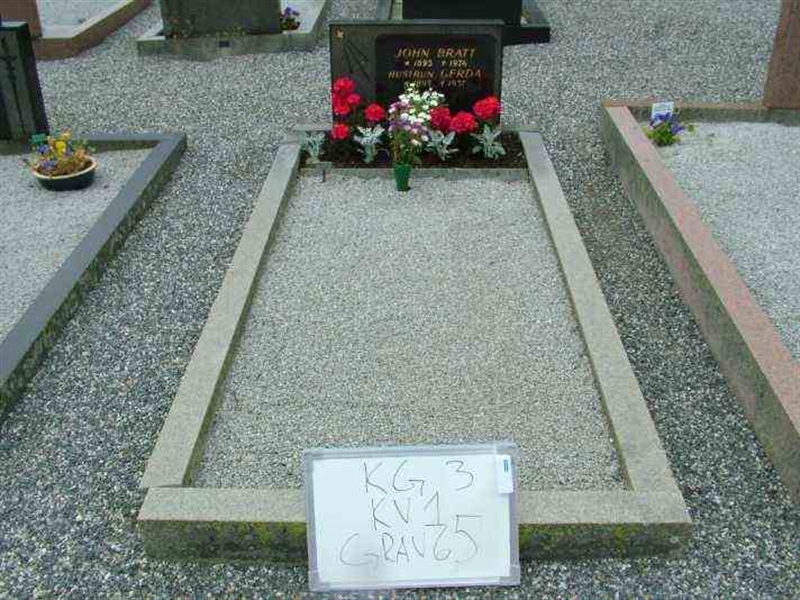 Gravnummer: 3 01    65