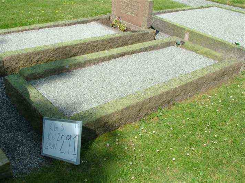 Hautatunnus: 3 02   291