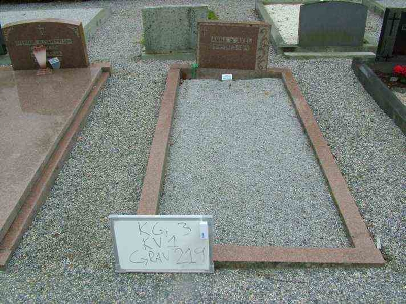 Gravnummer: 3 01   219