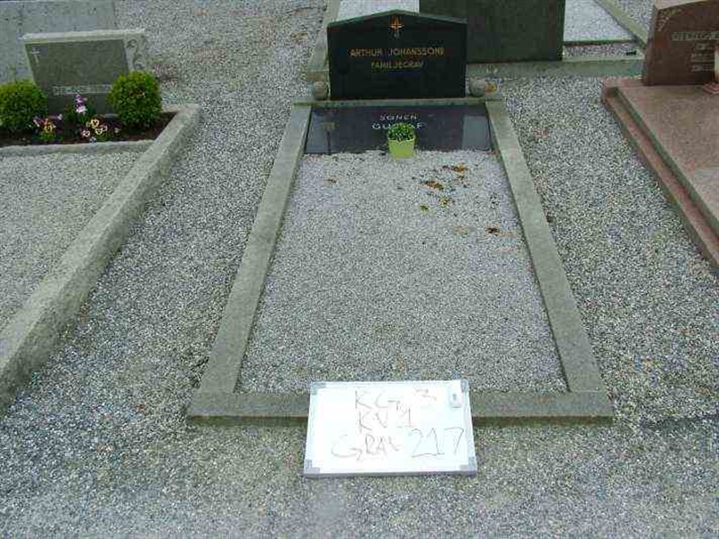 Hautatunnus: 3 01   217