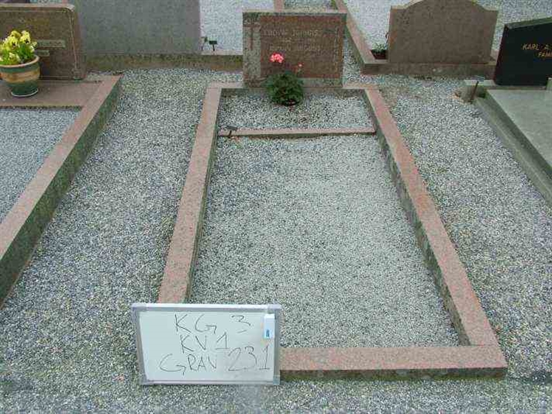 Gravnummer: 3 01   231