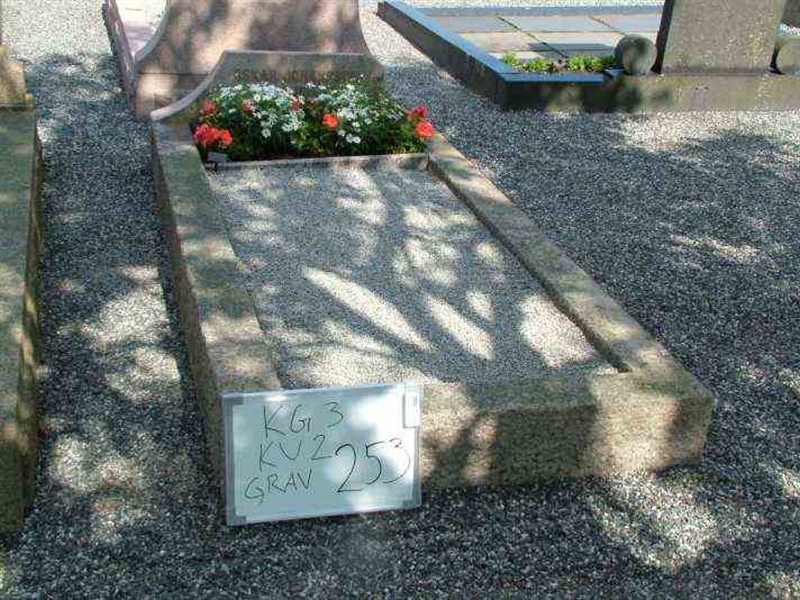 Hautatunnus: 3 02   253