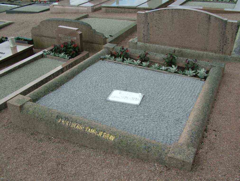 Hautatunnus: 2   595-596