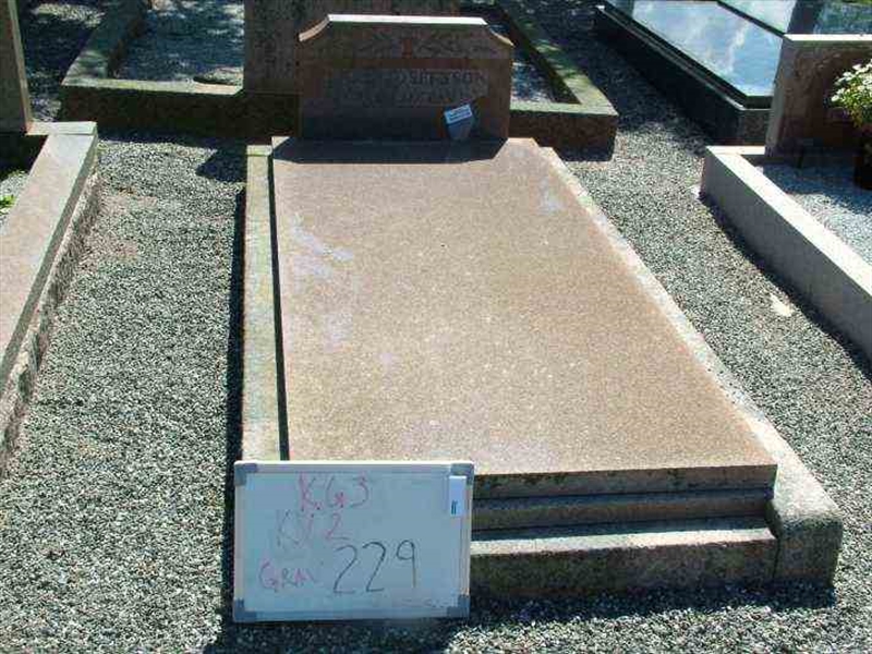 Hautatunnus: 3 02   229