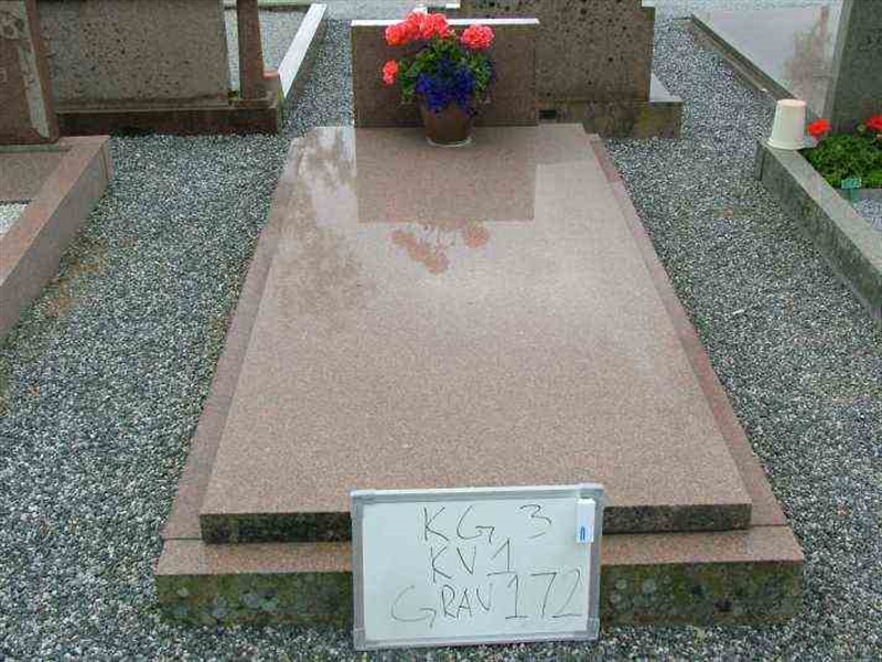 Hautatunnus: 3 01   172