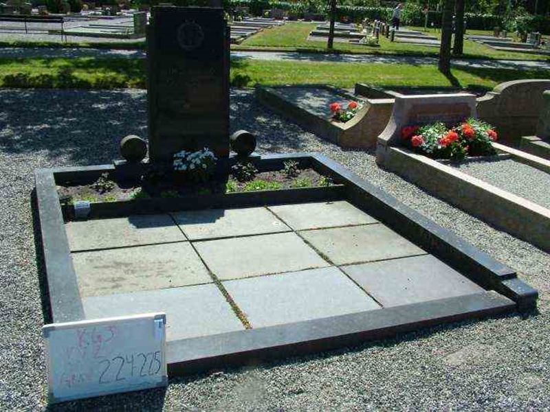 Hautatunnus: 3 02   224-225