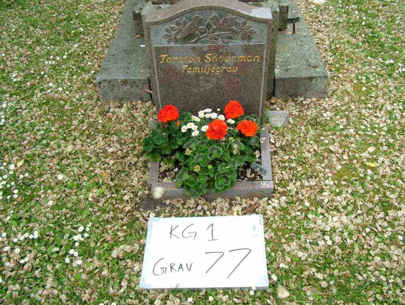 Gravnummer: 1    77