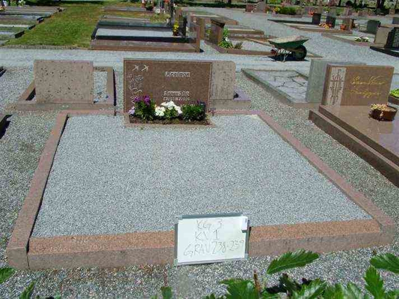 Gravnummer: 3 01   238-239