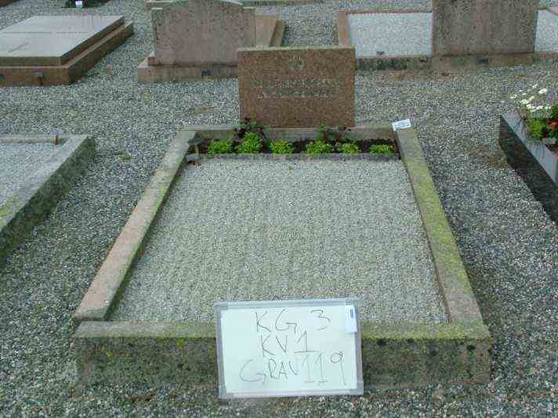 Hautatunnus: 3 01   119