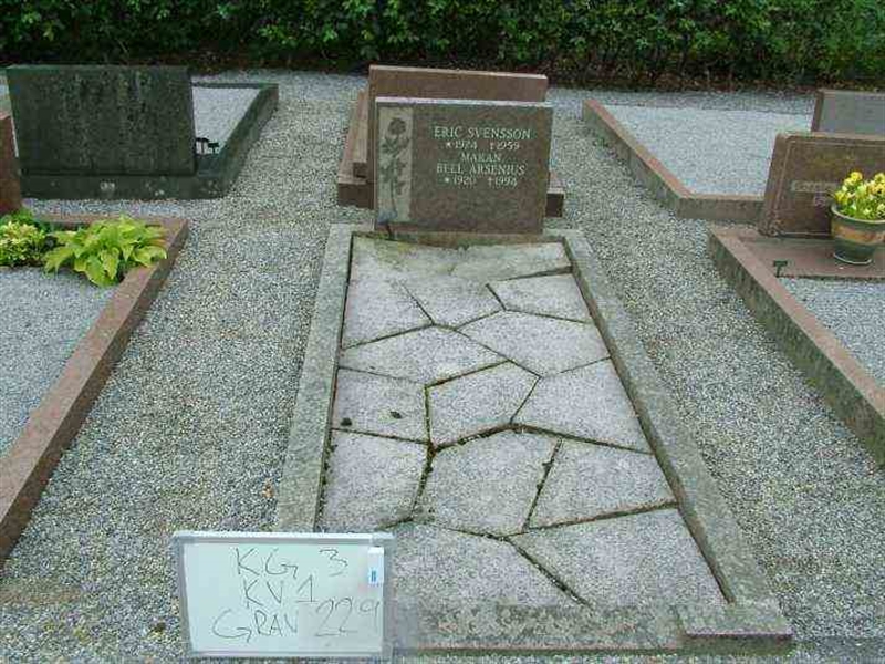 Gravnummer: 3 01   229