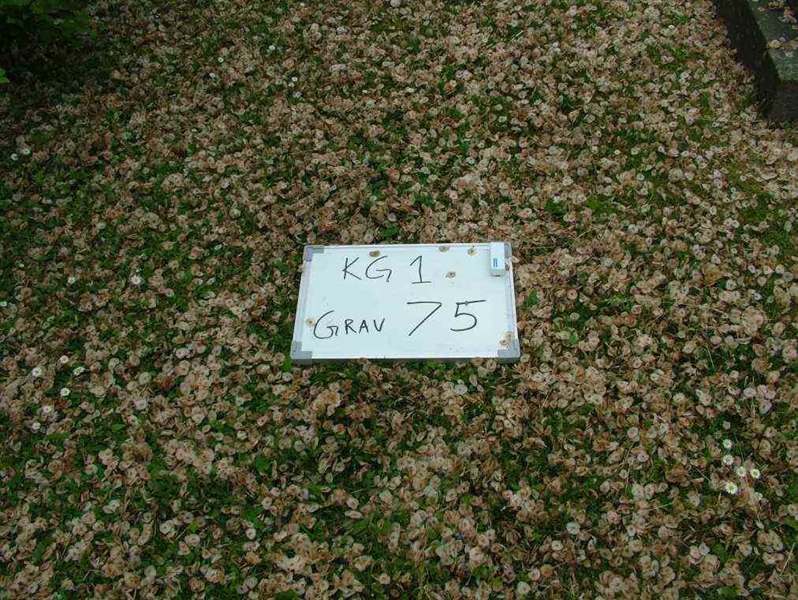 Gravnummer: 1    75