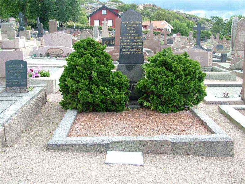 Hautatunnus: 2   498-499