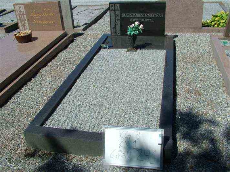 Gravnummer: 3 01   241