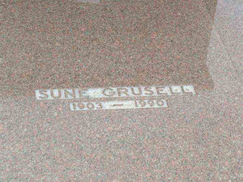 Gravnummer: 3 01    94-95