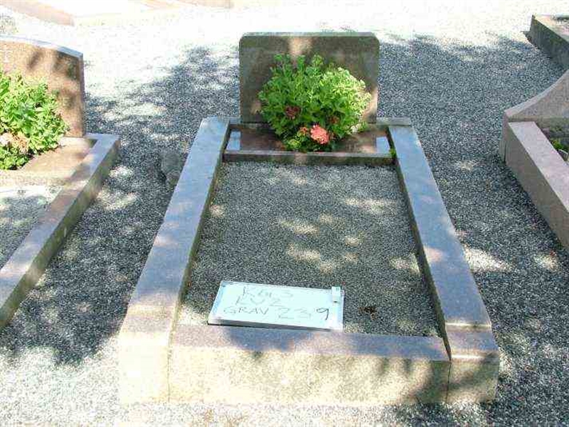 Hautatunnus: 3 02   239