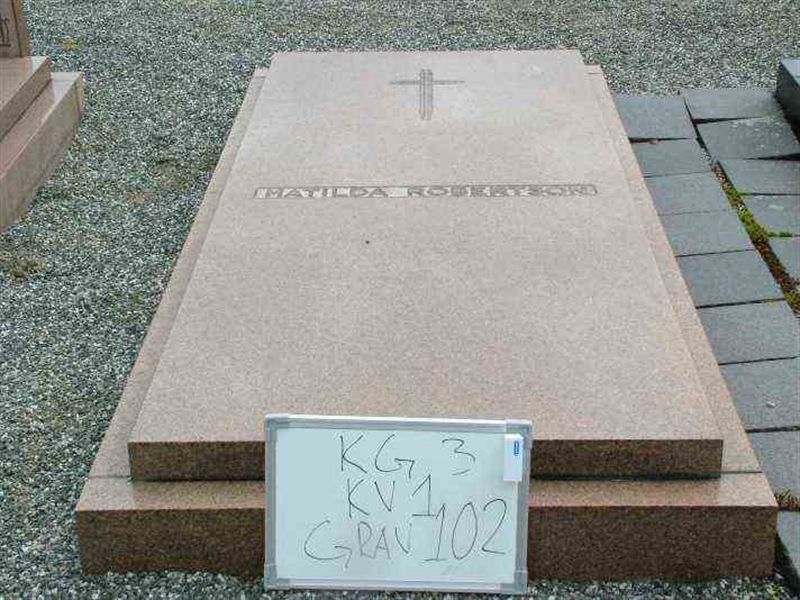 Hautatunnus: 3 01   102