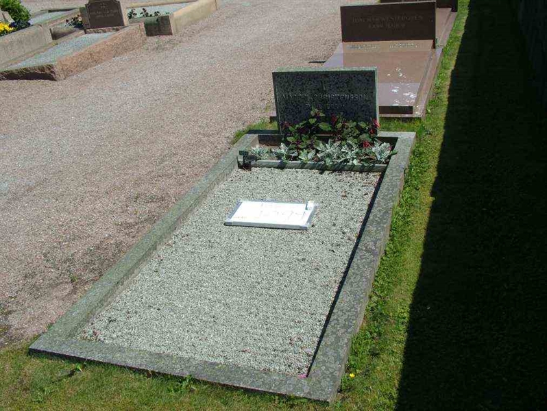 Hautatunnus: 2  1099