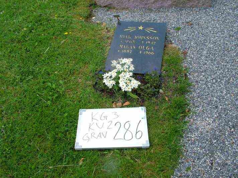 Hautatunnus: 3 02   286