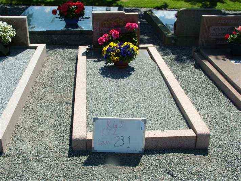 Gravnummer: 3 02   231