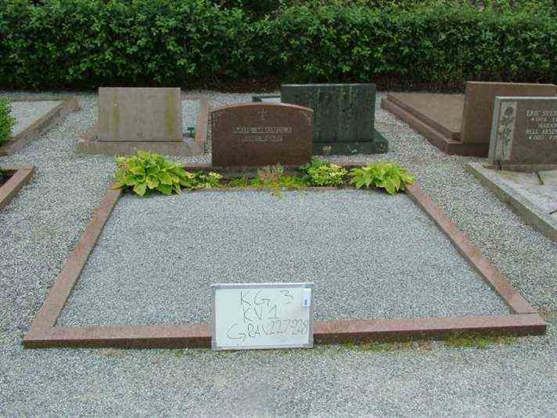 Gravnummer: 3 01   227-228