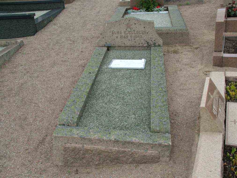 Grave number: 2   703