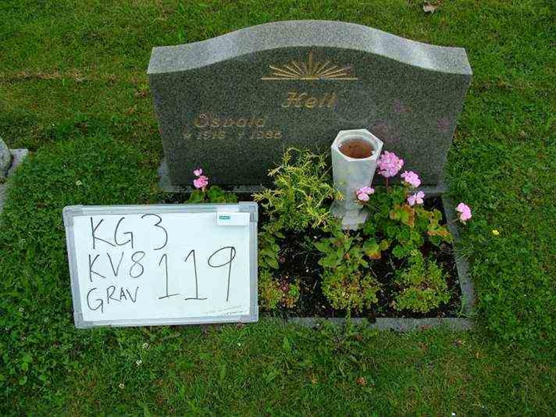 Gravnummer: 3 08   119