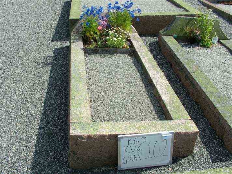 Gravnummer: 3 06   102