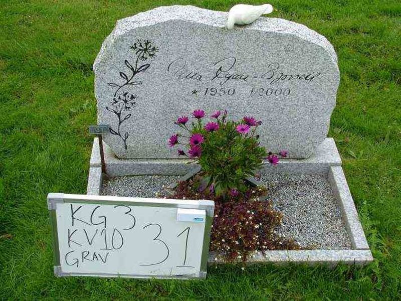 Gravnummer: 3 10    31