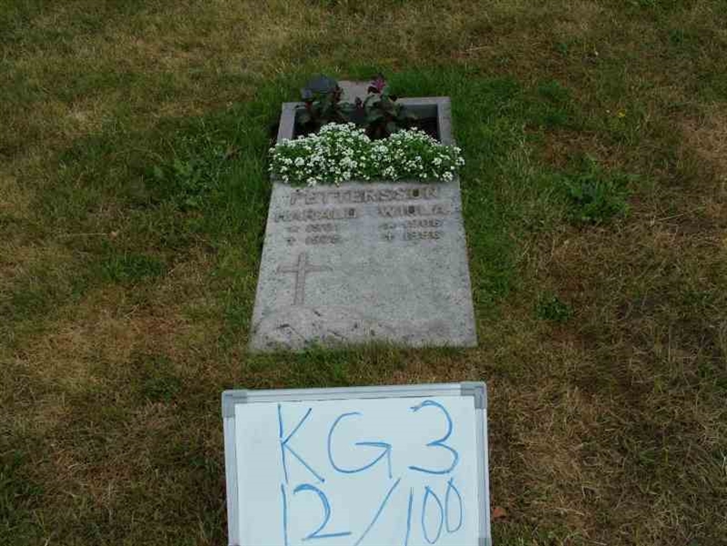 Gravnummer: 3 12   100