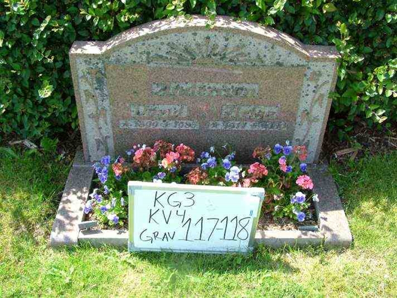 Gravnummer: 3 04   117-118