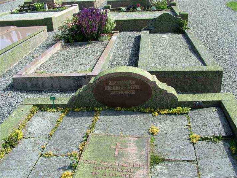 Gravnummer: 3 06    67-68