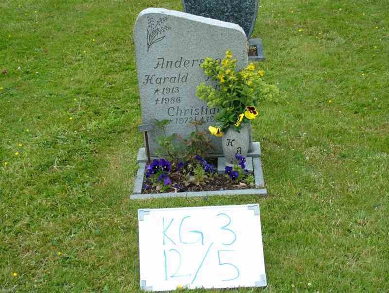 Gravnummer: 3 12     5