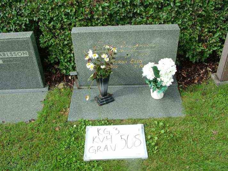 Gravnummer: 3 04   508