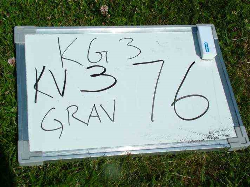 Gravnummer: 3 03    76