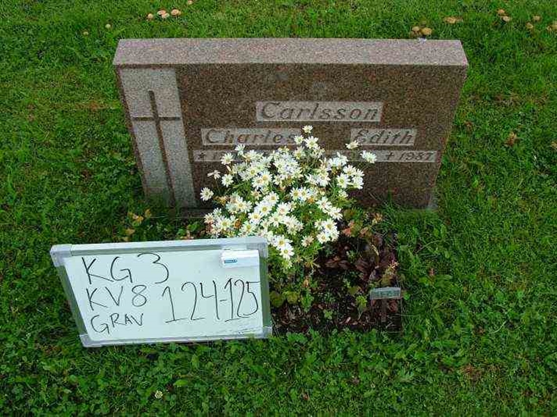Gravnummer: 3 08   124-125