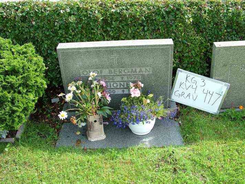 Gravnummer: 3 04   447