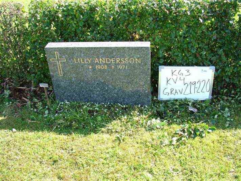 Gravnummer: 3 04   219-220